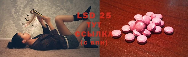 прущий лед Алзамай