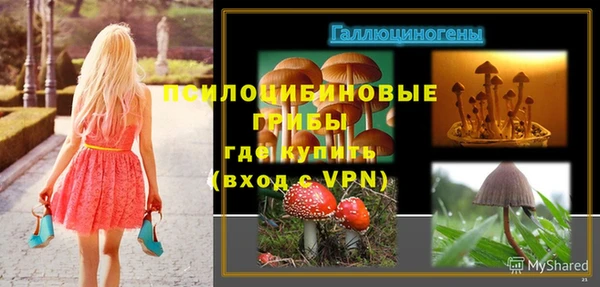 гидра Нефтегорск