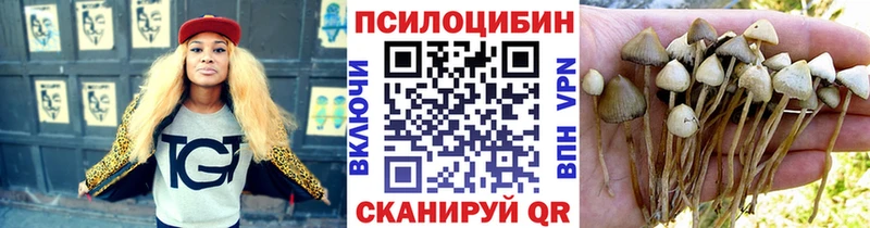 Галлюциногенные грибы мицелий  Бологое 